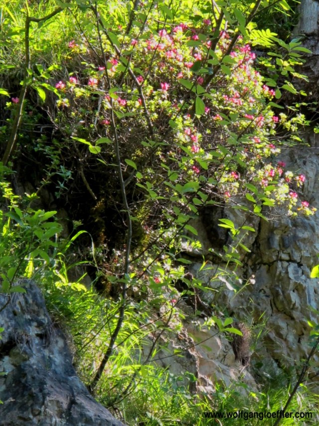 Ausflug zum Hochgern 059