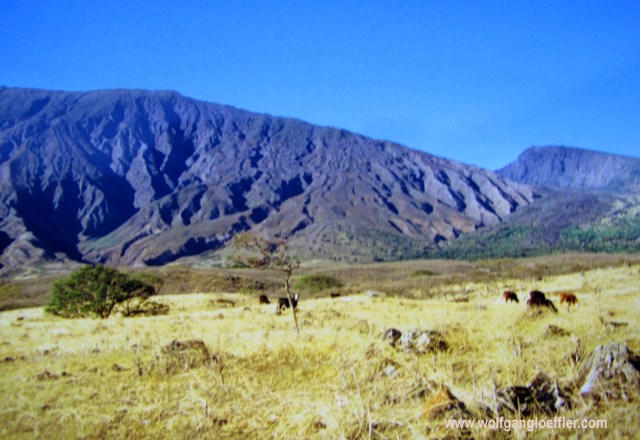 Steppe vor Bergen an Maui's Südküste