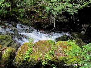 Ein Bach rauscht über eine Stromschnelle