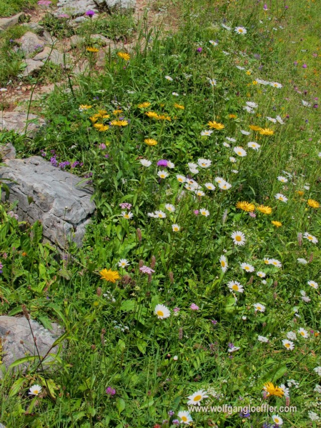 Rotwand wanderung 116