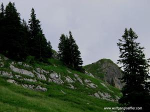 Blick zu einem Gipfel ueber eine Wiese