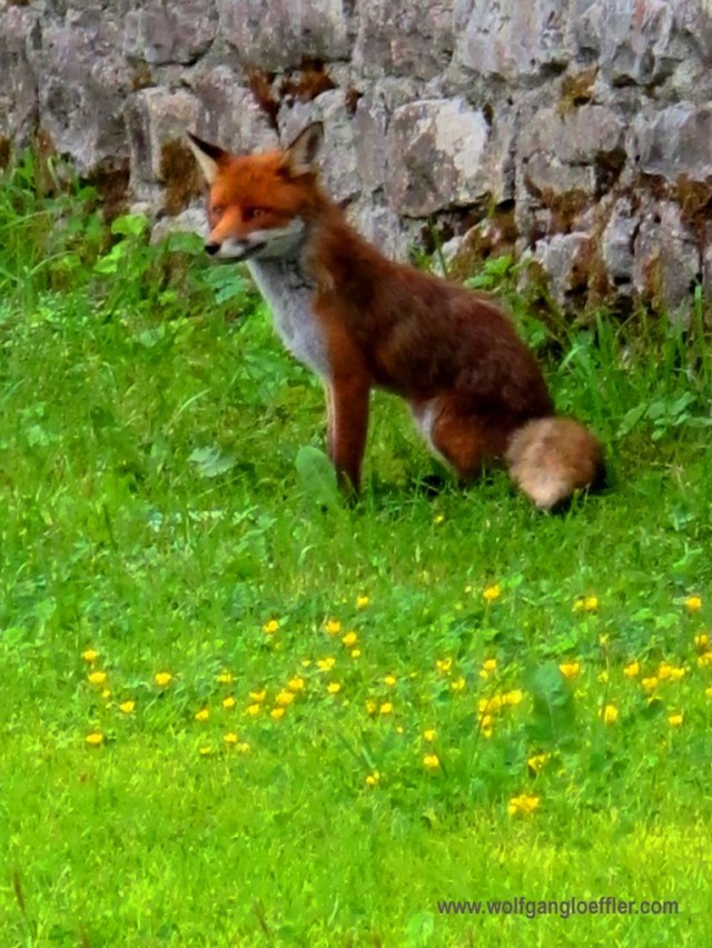 Rotwand wanderung 160