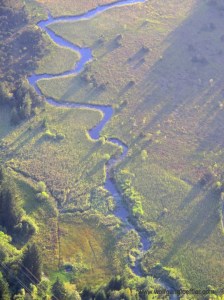 Blick von oben auf einen Bach, der sich durch eine Wiese schlängelt
