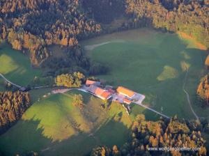 Ein einsamer Bauernhof zwischen Wald und Wiese von oben