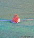 Einsame Scheune mit Baum von oben