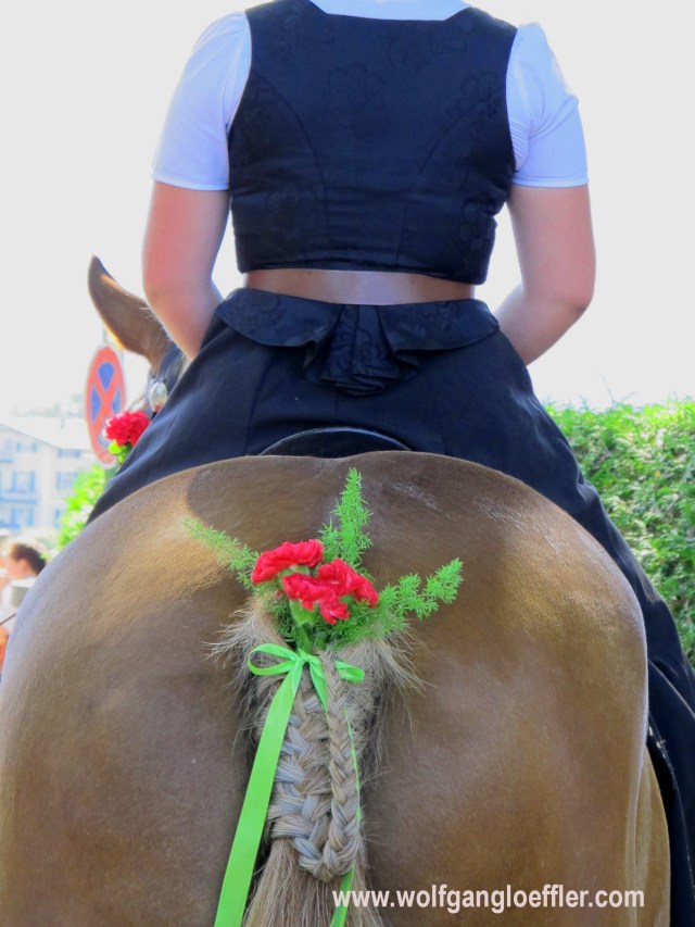 pferd mit blumen von hinten