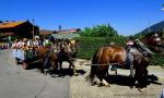 vier Pferde ziehen einen Wagen mit einer Trachtengruppe