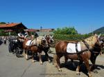 vier Pferde ziehen einen Wagen mit Männern in bayrischer Tracht