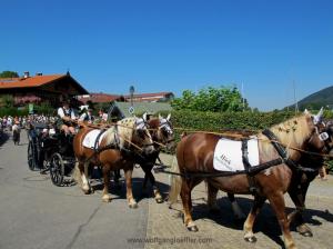 vier Pferde ziehen einen Wagen mit Männern in bayrischer Tracht