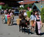 Eine Trachtengruppe führt Esel bei einem Umzug