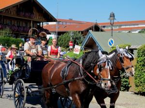 Zwei Männer mit großen Gamsbärten an den Hüten sitzen auf einer Kutsche