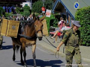 Eine Soldatin läuft mit einem Muli im Trachtenumzug