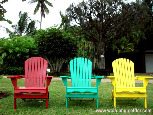 Deck Chairs in a typical garden
