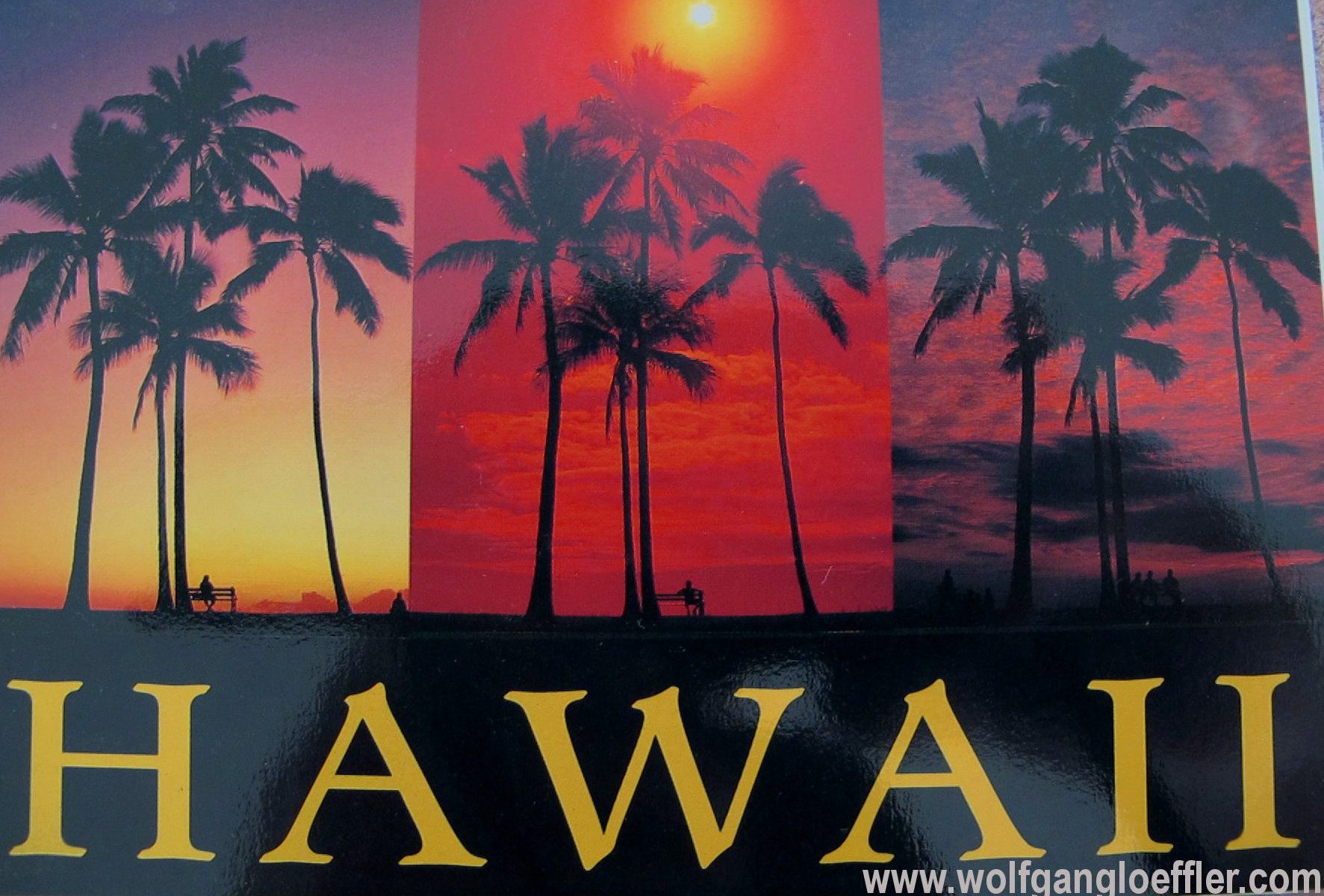 Drei Fotos mit Palmen im Sonnenuntergang