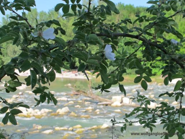 Isartour nach Freising 04.06.15 043