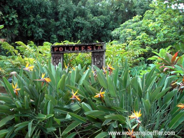 Polynesien Zeichen zwischen Blumen