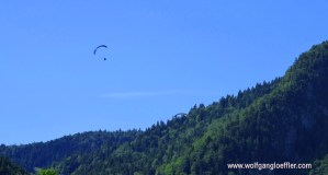 Ein Gleitschirm segelt über einem Wald