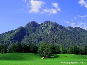 Blick über eine Wiese mit einem Baum in der Mitte und dem Brauneck im Hintergrund