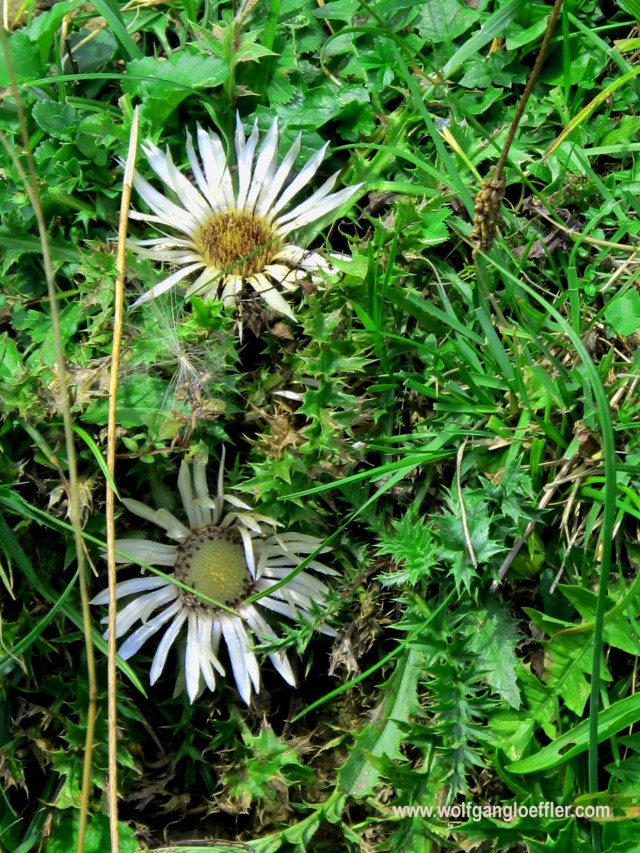 Lengries-brauneck 027