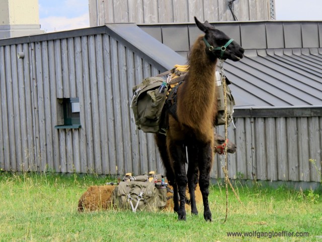 Lengries-brauneck 047