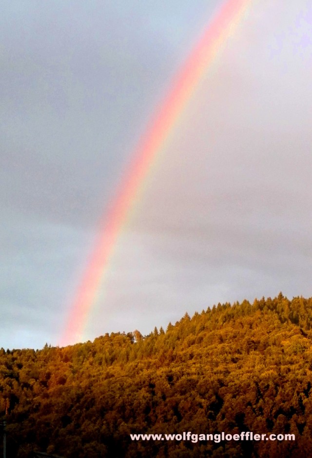 rainbow over a hill