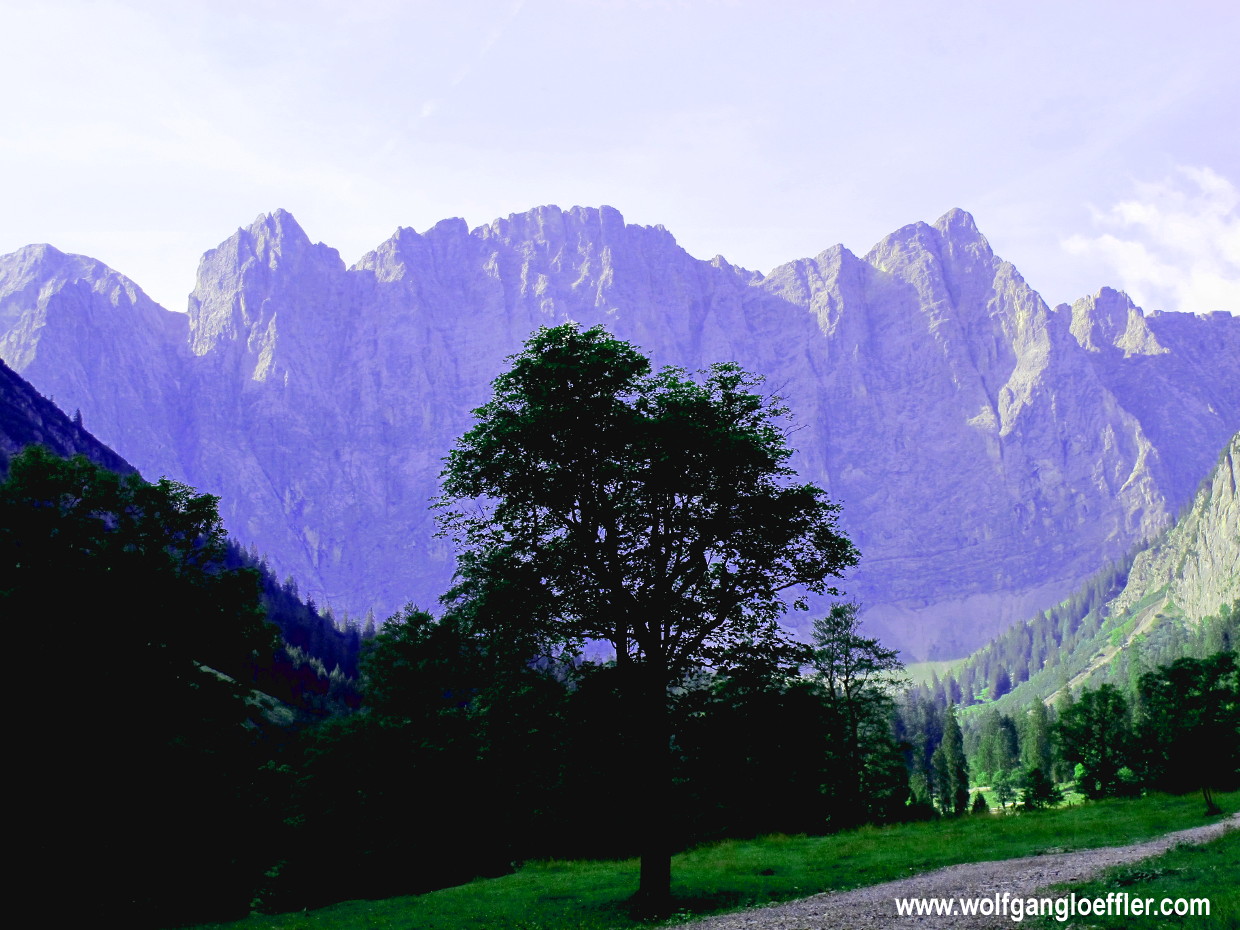 Imposante Felswand begrenzt ein grünes Tal